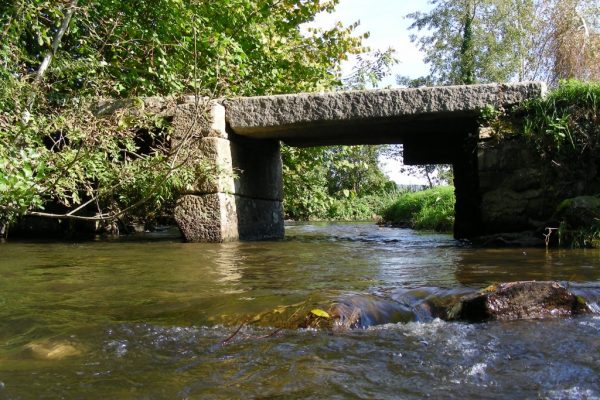 La Sée, Sourdeval