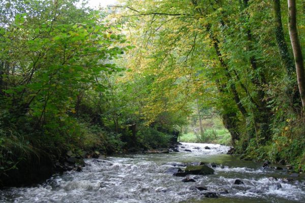 La Sée, Trémucet